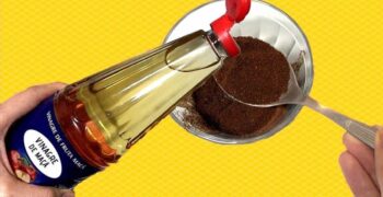 Esfoliante de Café Com Vinagre de Maçã Contra Celulite – Receita e Como Aplicar