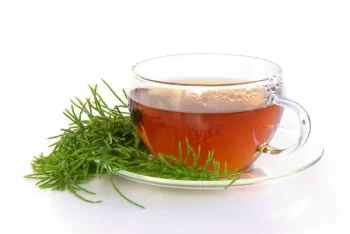 Chá de Cavalinha Para Pele Oleosa Com Espinhas – Receita, Como Aplicar e Benefícios