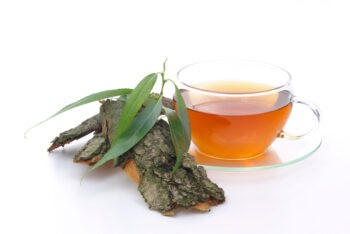 Chá de Salgueiro-branco Fortalece Sistema Imunológico – Receita, Como Consumir e Benefícios