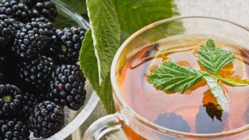 Chá de Amora Emagrece – Receita, Como Consumir e Benefícios