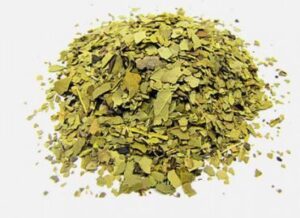 Chá Funcional Com Mate Verde Emagrece 2 Kg em 1 Semana – Receita, Como Consumir e Benefícios