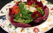 Salada Le Printemps Ajuda Emagrecer – Receita, Consumir e Benefícios