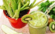 Batida de Aloe Vera e Kiwi Ajuda Emagrecer – Receita, Como Consumir e Benefícios