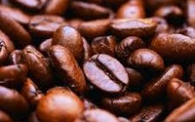 Cafeína Para o Treino – Emagrecer e Benefícios