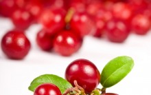 Fruta Cranberry Para Emagrecer – Benefícios, Como Consumir e Onde Comprar