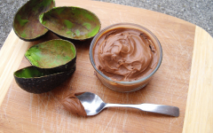 Mousse Low Carb de Chocolate Com Abacate – Receita e Benefícios