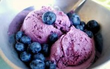 Dieta com Blueberry – Como Fazer e Benefícios da Fruta