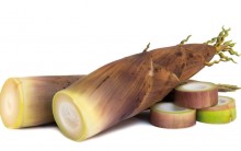 Broto de Bambu Emagrece – Como Fazer, Onde Comprar e Benefícios