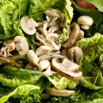 receita-salada-de-folhas-com-cogumelos-vinagre-de-framboesa
