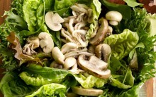 Salada de Cogumelos e Folhas Verdes na Dieta – Como Consumir, Receita e Benefícios