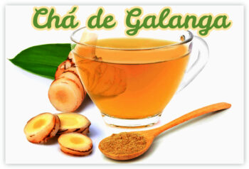 Chá de Galanga – Para Que Serve Chá de Galanga? Benefícios e Como Fazer