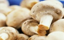 Risoto de Funghi Emagrece – Como Consumir e Receita