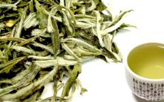 Chá de Salgueiro Branco Para a Saúde – Benefícios