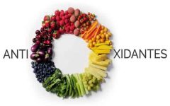 Alimentos Antioxidantes Para Ajudar a Emagrecer – Quais São