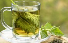 Chá de Urtiga Melhora a Digestão? – Receita e Benefícios