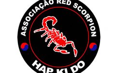 Arte Marcial Hapkido Melhora o Condicionamento – Como Funciona e Benefícios