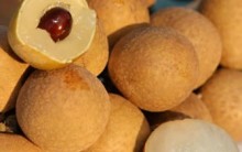 Suco de Longan Emagrece – Receita e Benefícios