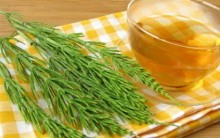 Chá de Cavalinha Emagrece – Como Fazer e Benefícios