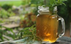 Chá de Limonete Contra a Diarreia – Receita, Como Consumir e Benefícios