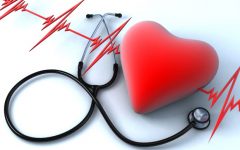 Remédio Caseiro de Cavalinha Controla Hipertensão – Receita, Como Consumir e Benefícios