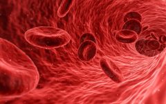 Wrap de Feijão Preto Ajuda Combater Anemia – Receita, Como Consumir e Benefícios