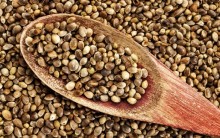 Semente de Maconha Hemp Seeds Emagrece – O Que é, Para Que Serve, Funciona Mesmo? Benefícios, Consumir e Onde Comprar