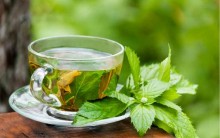 Chá de Hortelã Emagrece – Benefícios, Consumir e Receita