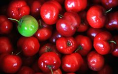 Suco de Acerola Com Leite Fortalece o Corpo – Receita e Benefícios