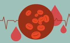 Remédio Caseiro de Abacaxi Ajuda Tratar Anemia – Receita, Como Consumir e Benefícios